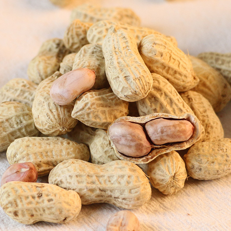 新龙岩水煮花生白晒盐水煮咸干花生湿烤500gx2袋装零食农家特产nc