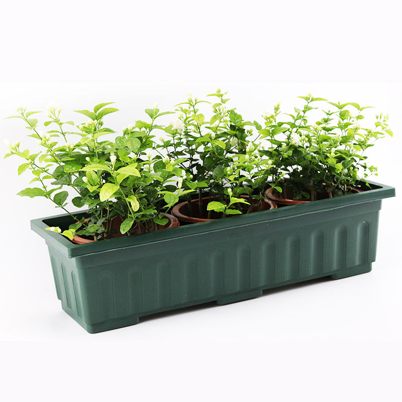 阳台花盆菜盆塑料托盘长方形种植盘箱长槽盆长条花盆