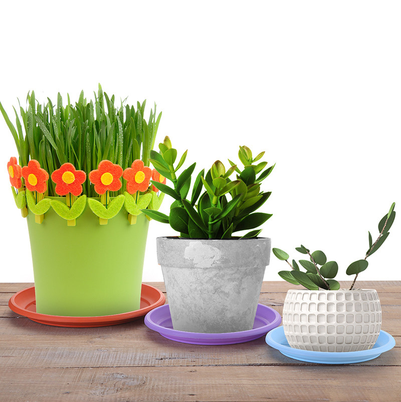 塑料花盆托盘家用园艺接水底盘圆形花托加厚花托