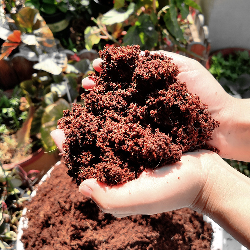 椰砖有机通用营养土种菜养花多肉椰糠土壤植物花肥种植泥土耶砖粉