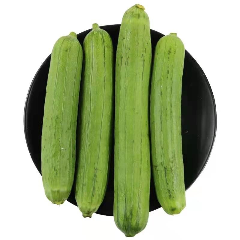 农家自种新鲜现摘现发香丝瓜4斤蔬菜寿光棱丝瓜孕妇鲜嫩绿皮青瓜