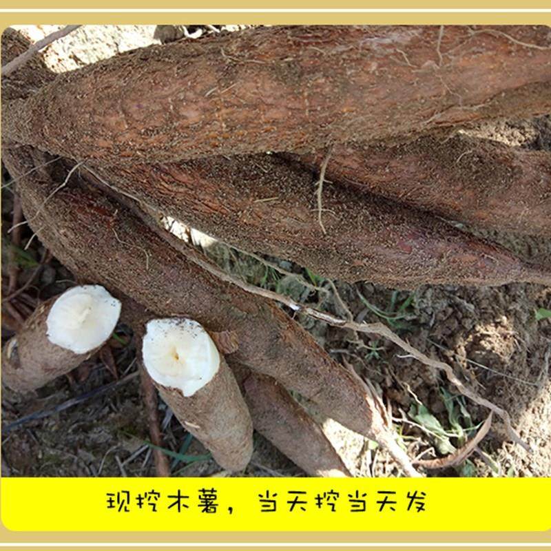 新鲜现挖黄肉面包木薯5斤广西特产黄心木薯粉番薯
