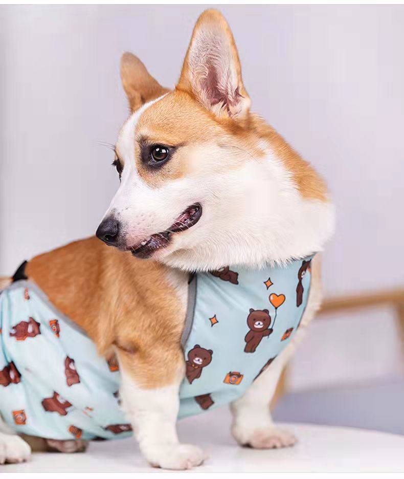 狗狗肚兜柯基犬护肚子防着凉
