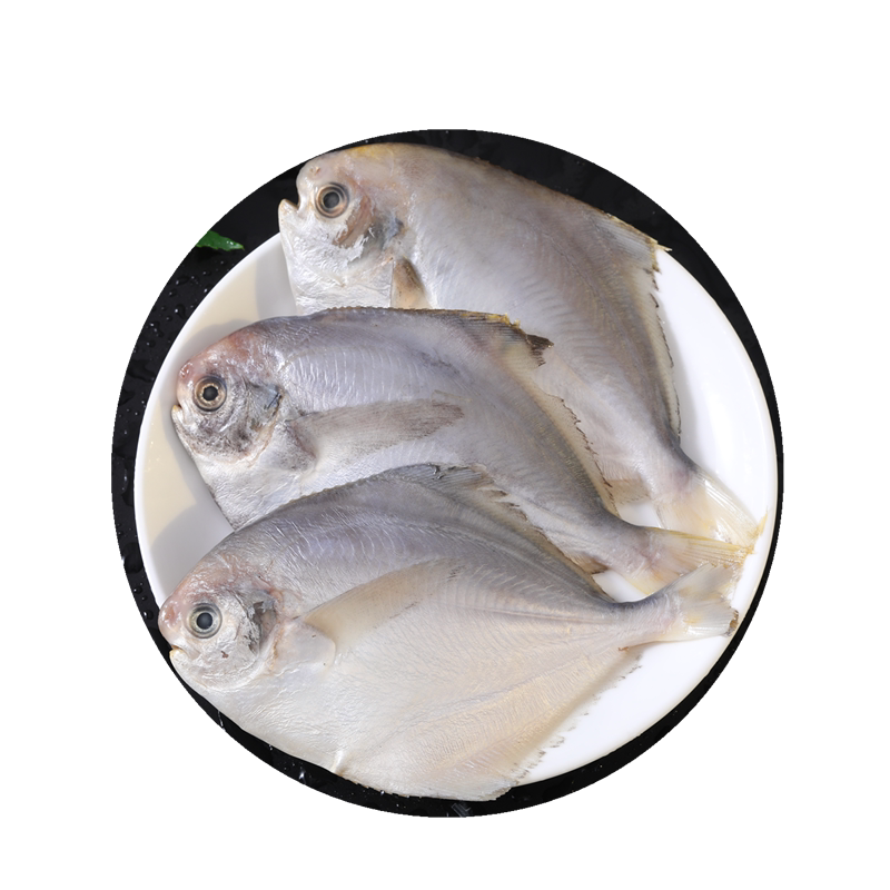 鲳鱼新鲜冷冻昌鱼深海野白生平平鱼5斤鲜活鲳鱼