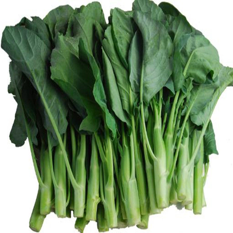 芥蓝新鲜蔬菜3斤广东菜心现摘现发小芥兰大芥蓝芥兰青菜