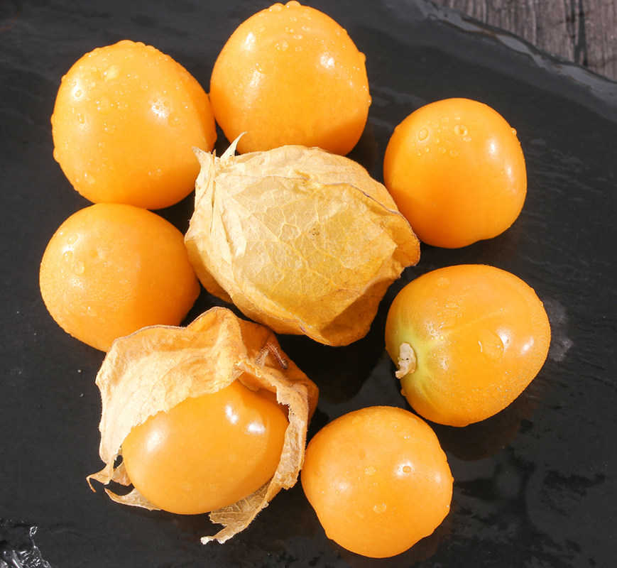 东北姑娘果新鲜水果菇娘果顺丰包邮黑龙江特产甜灯笼果当季水果