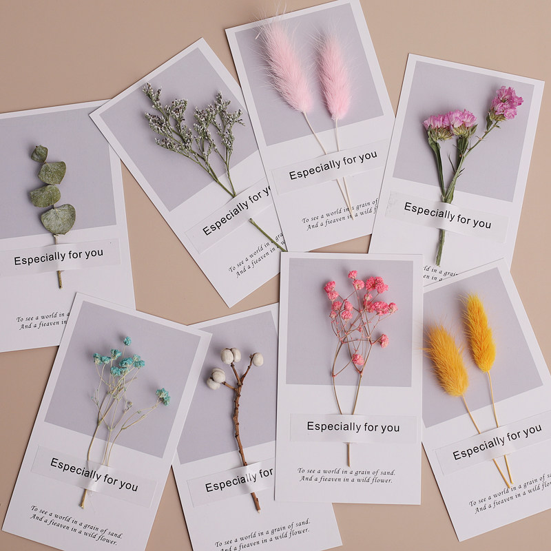 ins风干干花卡片贺卡明信片创意壁饰墙贴卧室壁饰