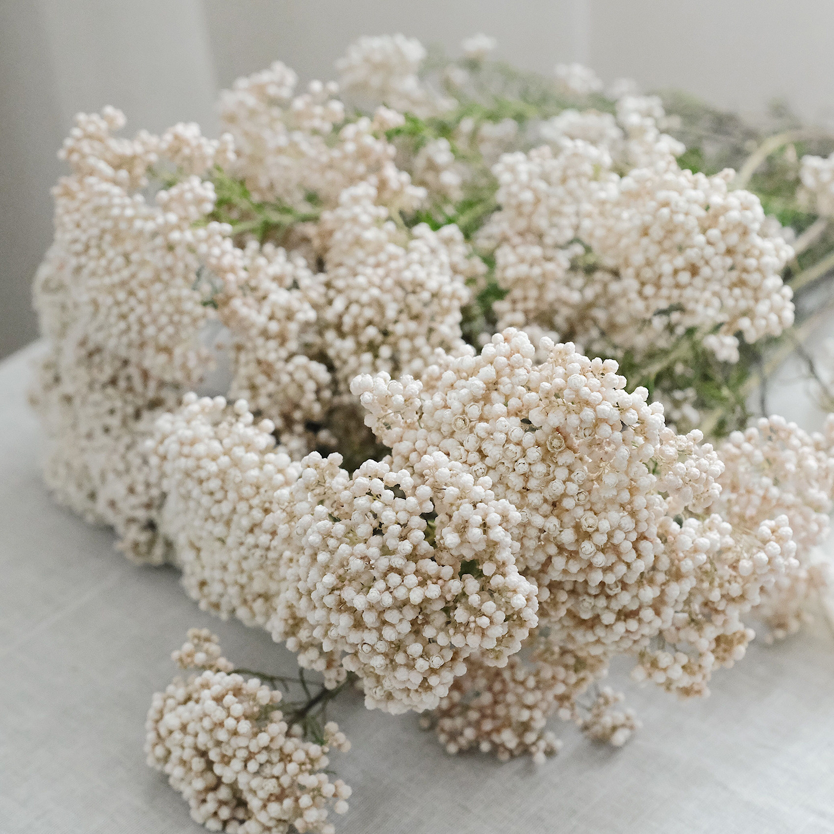 乐作鲜花云南直发新鲜小米花水养可做干花全店干花