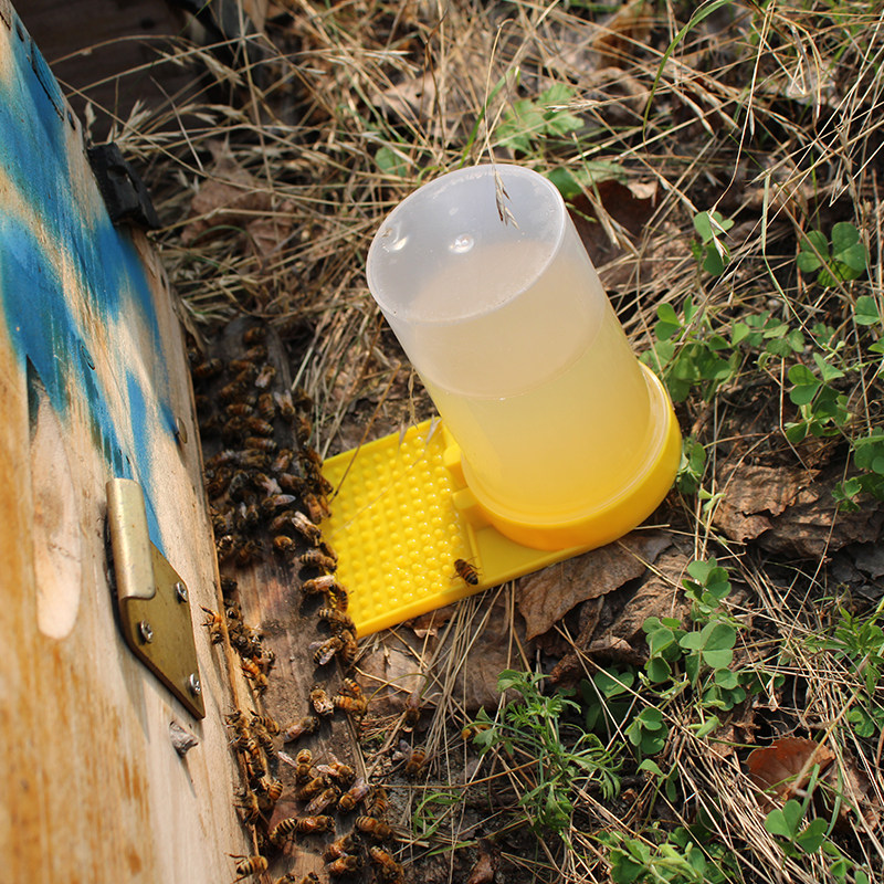 蜜蜂饲喂器中蜂喂水器加厚喂糖器密蜂箱外饮水专用喂食槽养蜂工具