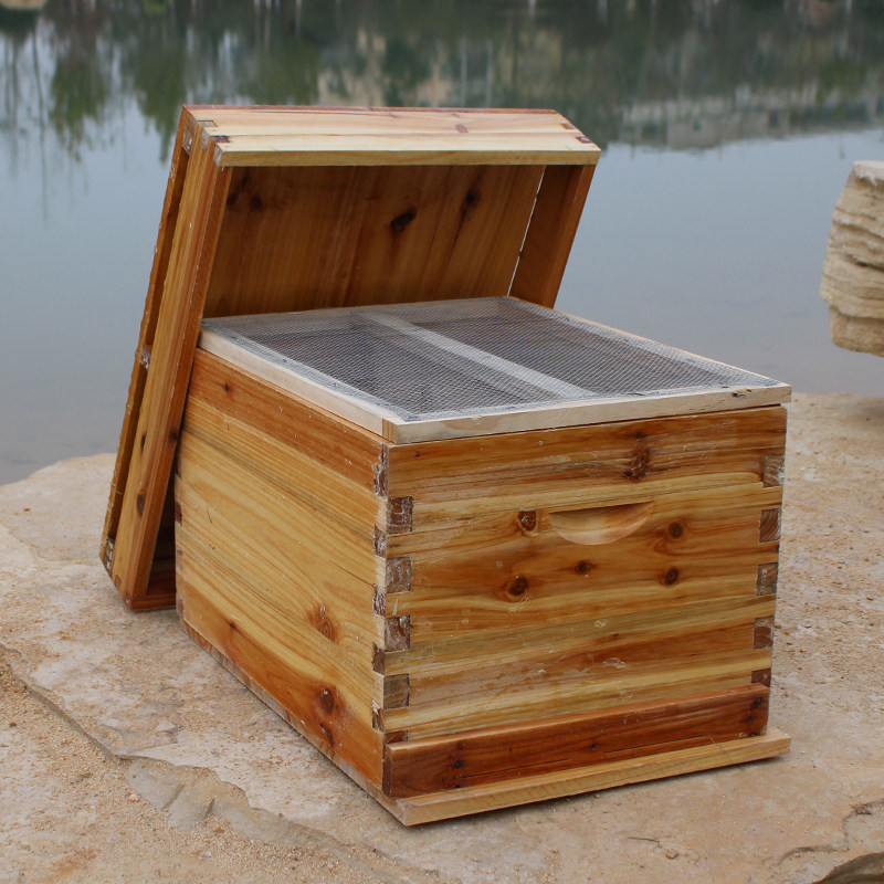 42蜂箱小型中蜂蜜蜂箱标准杉木密蜂箱煮蜡土蜂箱成品巢框养蜂全套