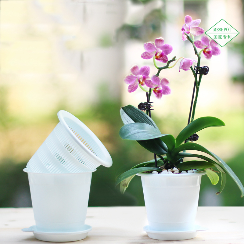 美莳双层蝴蝶兰控根花盆透气塑料多肉套装组合花盆