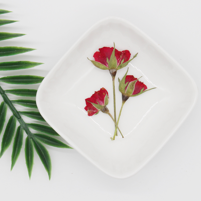 侧压带枝玫瑰花月季真花干花标本diy手工滴胶手机壳押花蜡烛相框
