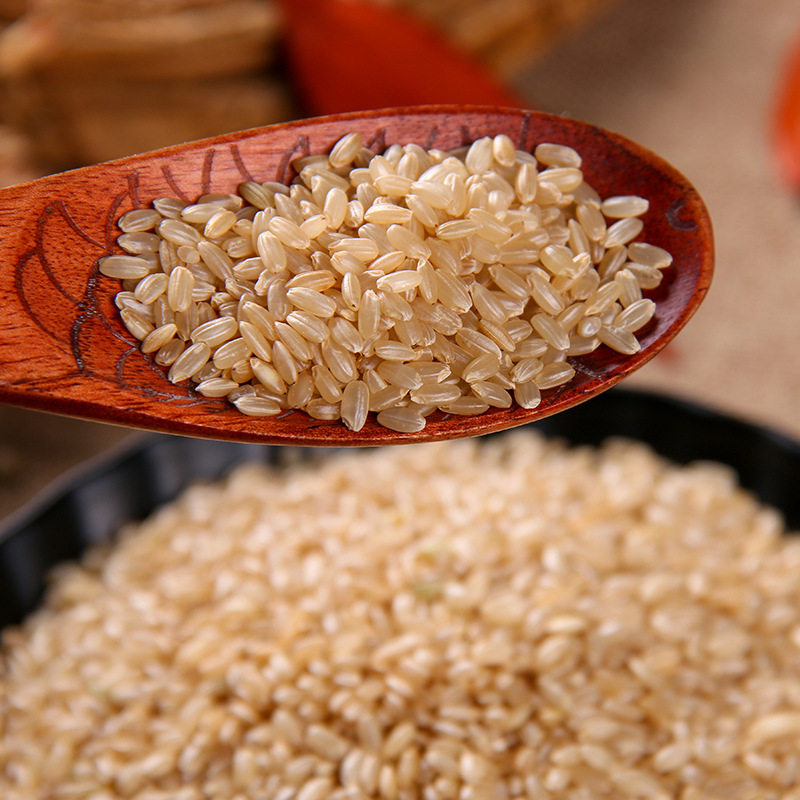 糙米明日日兴有机五谷杂粮健身身轻粗粮煮粥米胚芽糙米