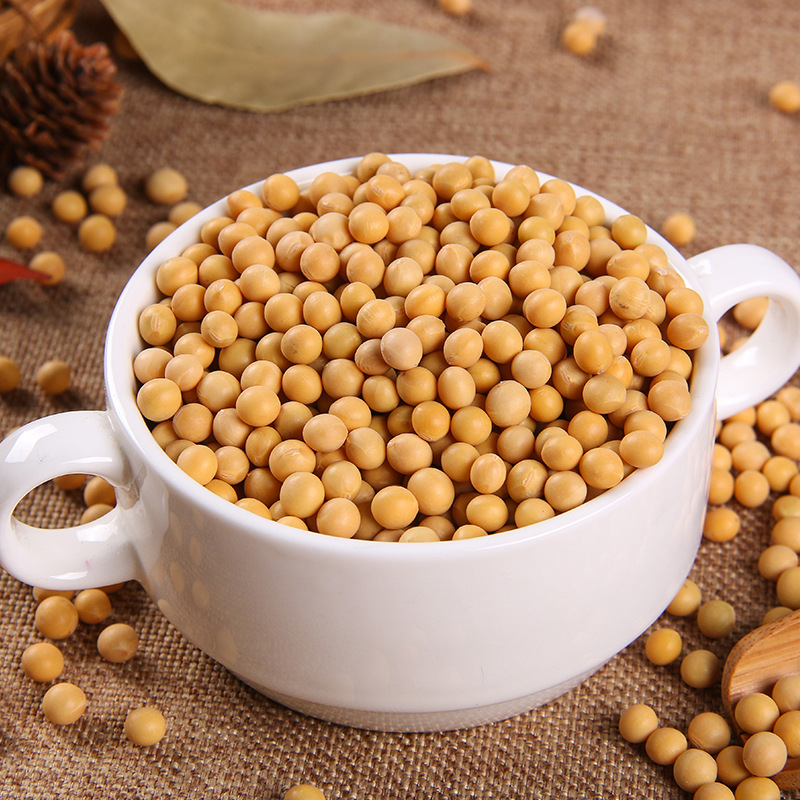 明日日兴有机黄豆330克x2包组合组合五谷杂粮豆浆黄豆