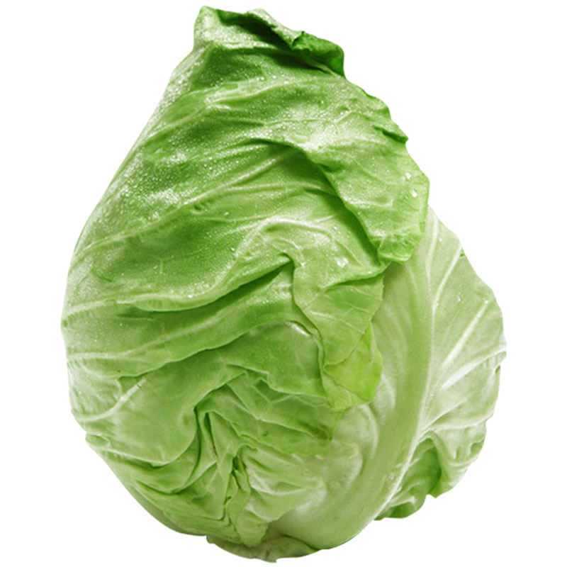 甘蓝牛心种子早熟结球包菜种籽四季耐寒农家家庭园艺种子