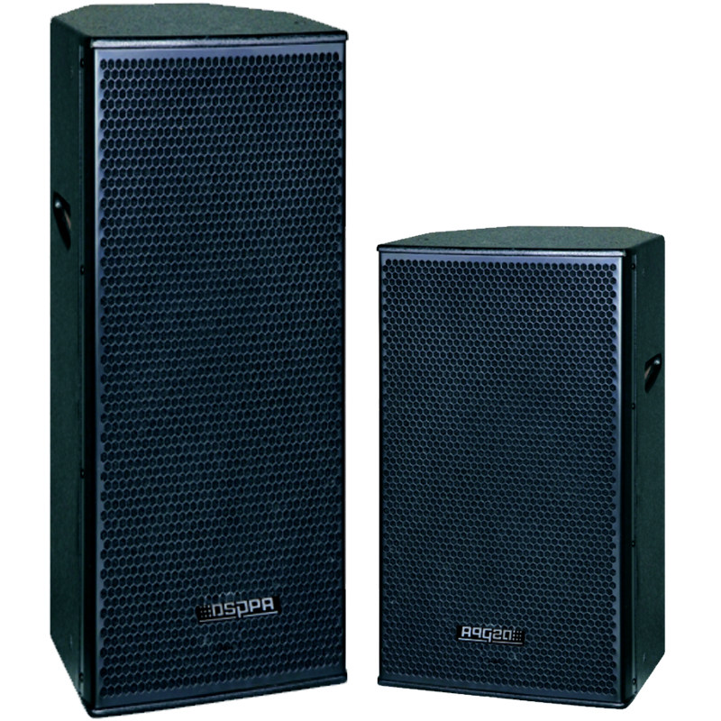 dsppa迪士普会议专业音响d6565二分频12寸低音单元350w全频音箱