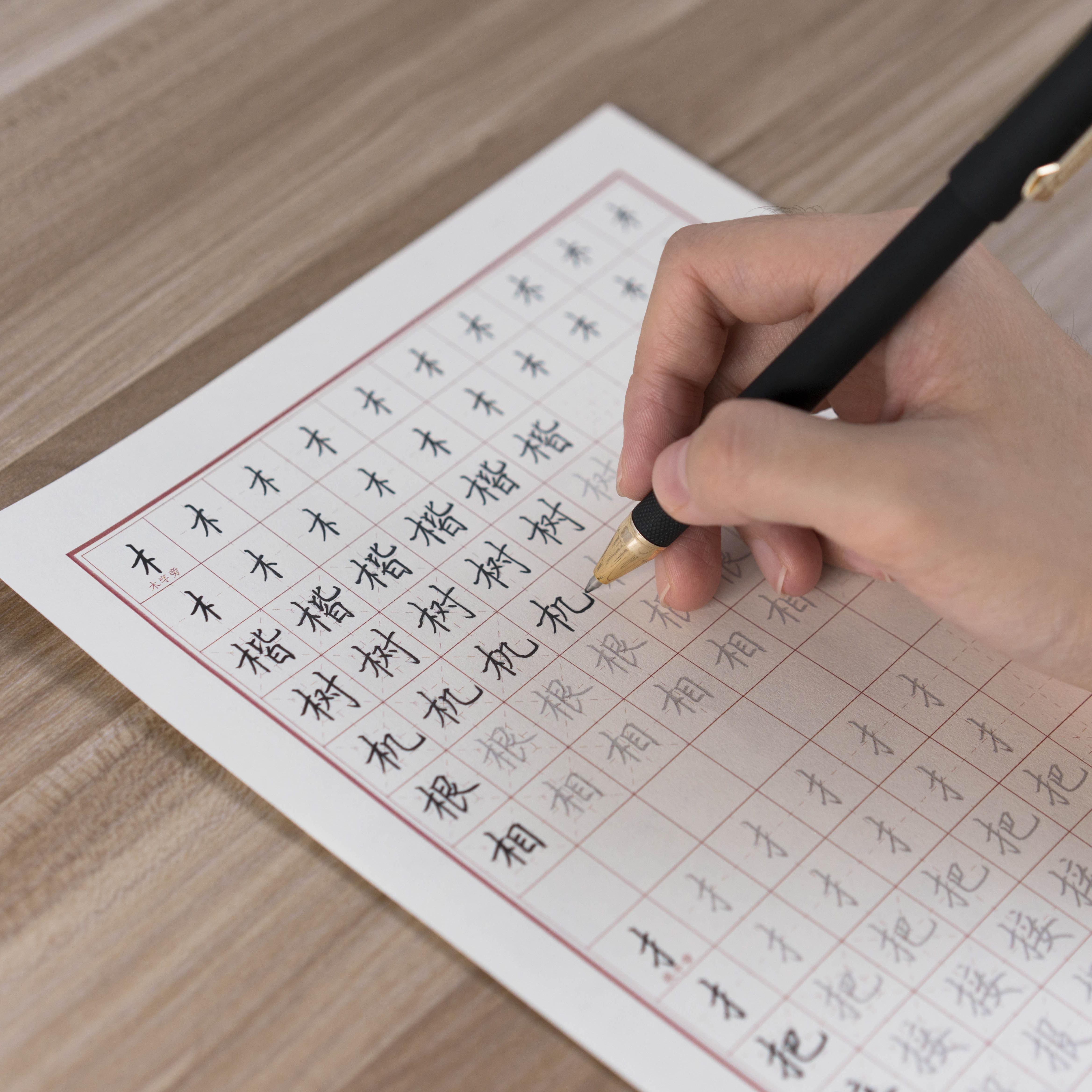 一起练字笔画字帖 楷书硬笔书法练字帖初学者正楷描红临摹字帖 规范字