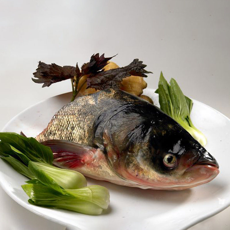 微山湖4555斤胖头大鱼鲢鱼生态淡水鱼顺丰包邮淡水鱼类