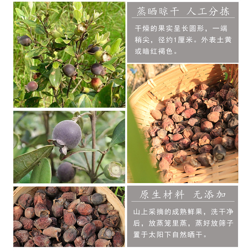 泡酒三晒三蒸多尼新多尼干果金娘果干桃包邮山500g养生泡酒料