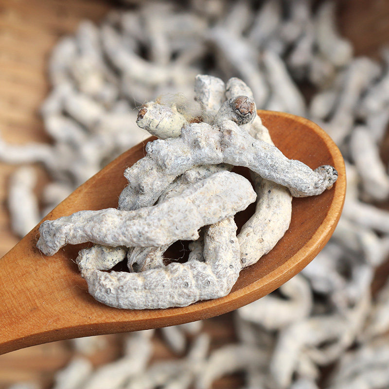 僵蚕掌柜500g包邮白僵虫炒僵蚕白疆虫姜虫天虫僵其他药食同源食品