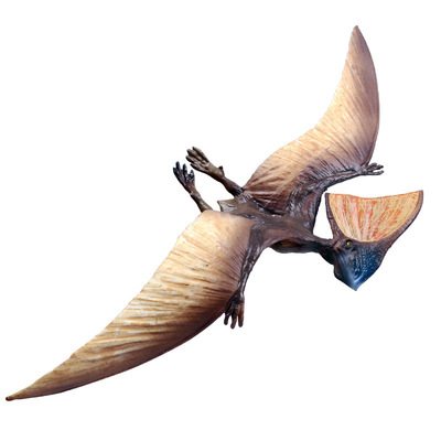 白垩纪恐龙古神翼龙掠海翼龙飞龙儿童恐龙模型玩具套装仿真动物