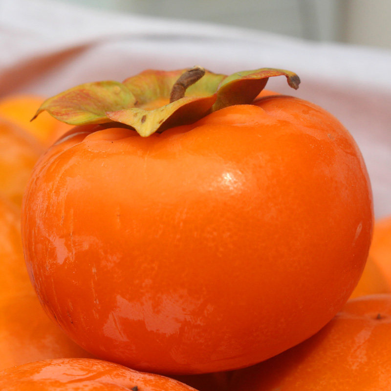 坏果包赔山西现摘水晶软柿子5斤