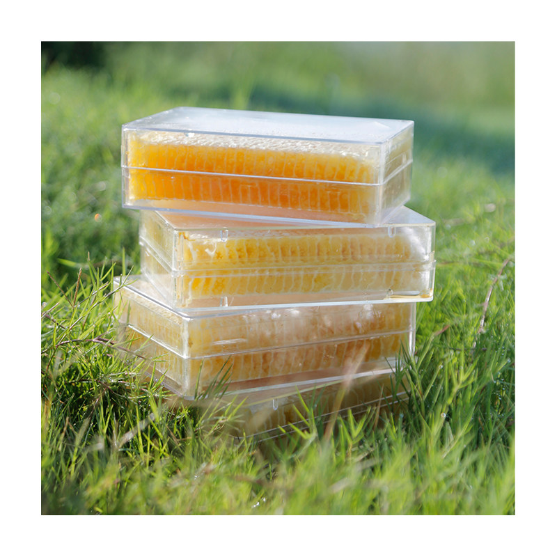 现采现卖新货蜂巢蜜封盖蜜农民自产500g蜂窝爵着吃的成熟土蜂蜜