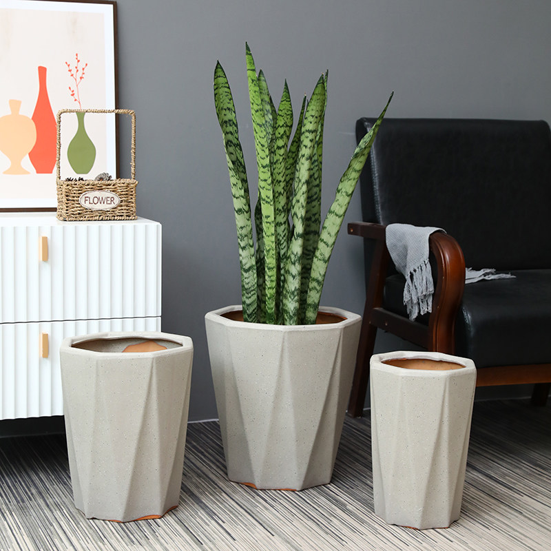 花盆特大号钱树包邮特价绿植陶瓷金钱树客厅庭院花盆