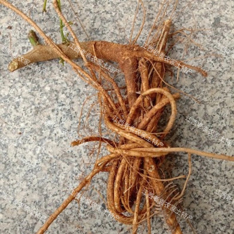 刀豆根干根刀角根干刀豆角根刀板豆根干刀巴豆1份新鲜豆类