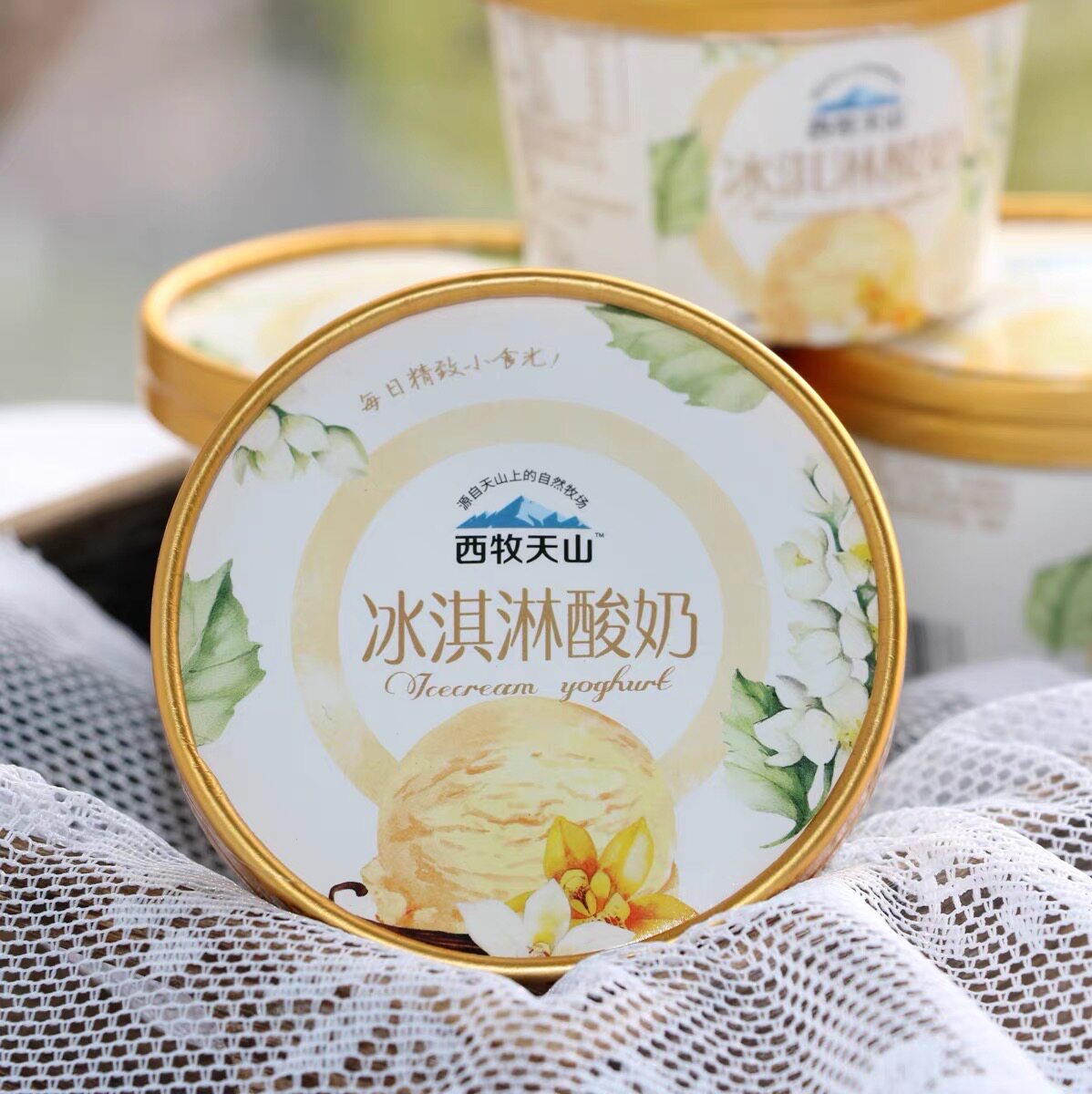 冰淇淋酸奶新疆低温发酵120g14杯多仓发货纯牛奶