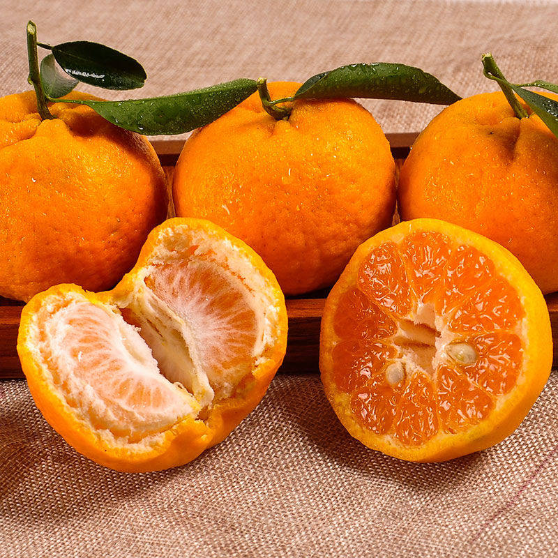橘子衢州椪柑新鲜水果包邮带10斤邹记中果丑桔子桔子