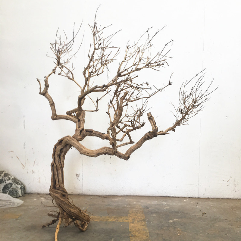 装饰花舍景观造型枯木落地摆件树干创意艺术干花
