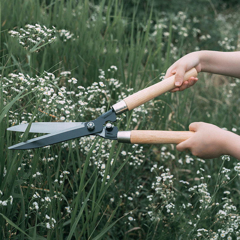 园艺大剪刀家用草坪加长省力长柄园林工具花木果树剪刀