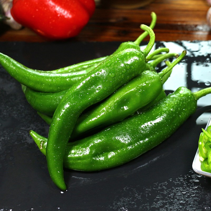 杭椒新鲜辣椒5斤尖椒微辣不辣泡椒剁椒农家辣椒