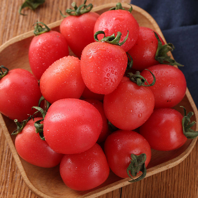 攀枝花千禧樱桃小番茄5斤迷你小西西红柿自然生吃番茄
