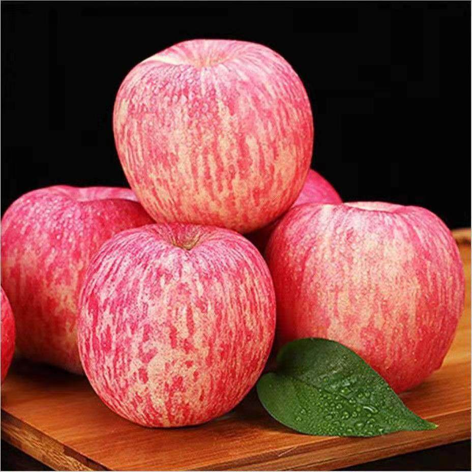 苹果正宗壶口吉县红富士野生冰糖糖心当季新鲜苹果