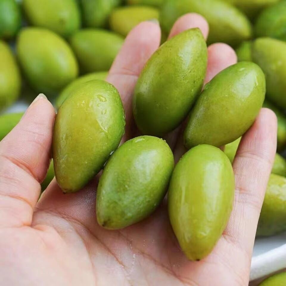 潮汕两头新鲜橄榄孕妇水果生吃煲汤沙榄1斤其它