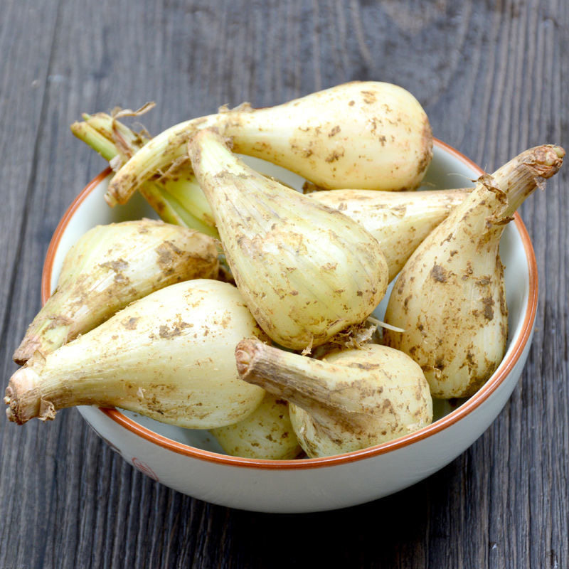 荞头藠头教头现拔现发带泥带颈新鲜带叶蔬菜5斤装香脆可腌制新鲜