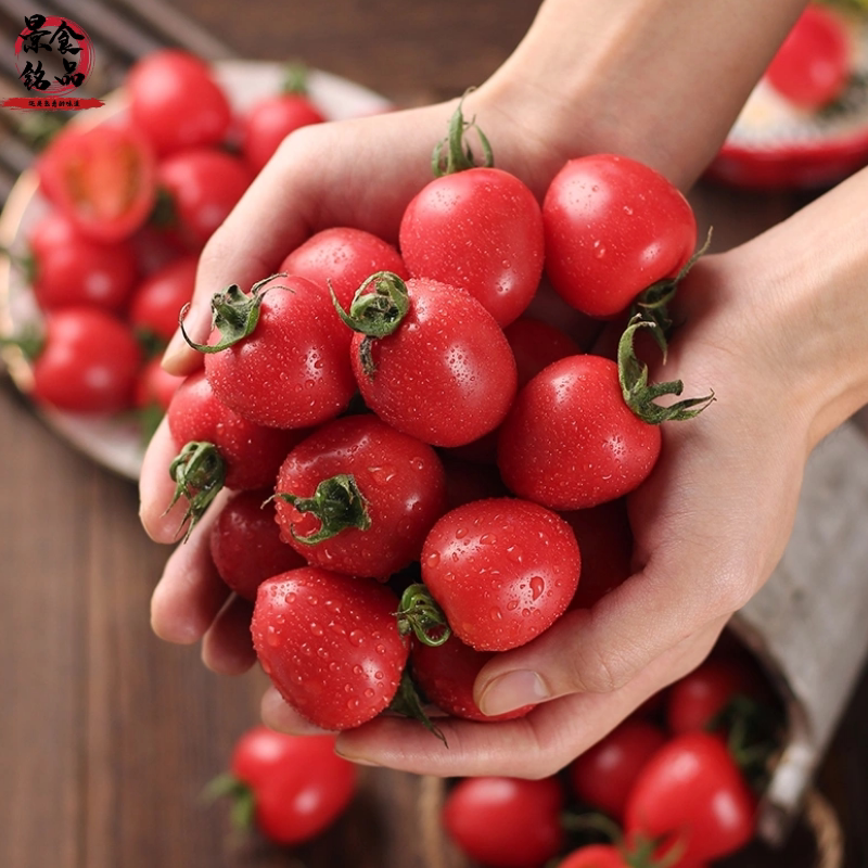 正宗山东新鲜迷你小番茄圣女果千禧果小西红柿蔬菜水果番茄