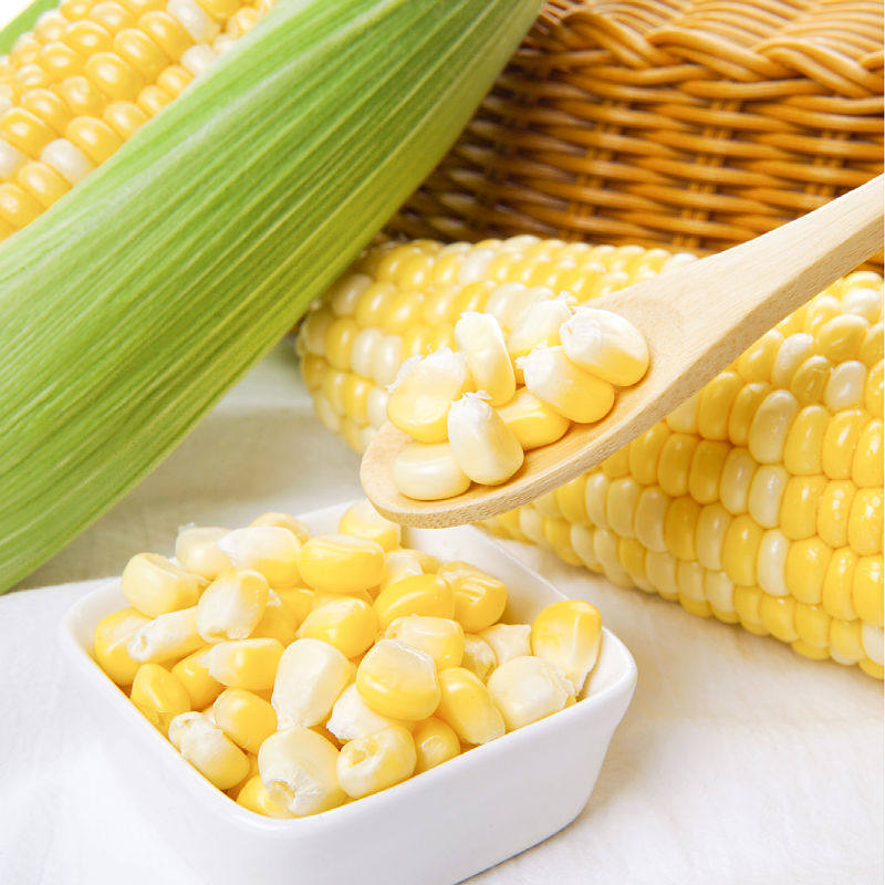 玉米云南金银水果新鲜生吃当季玉米棒棒子粘苞新鲜玉米