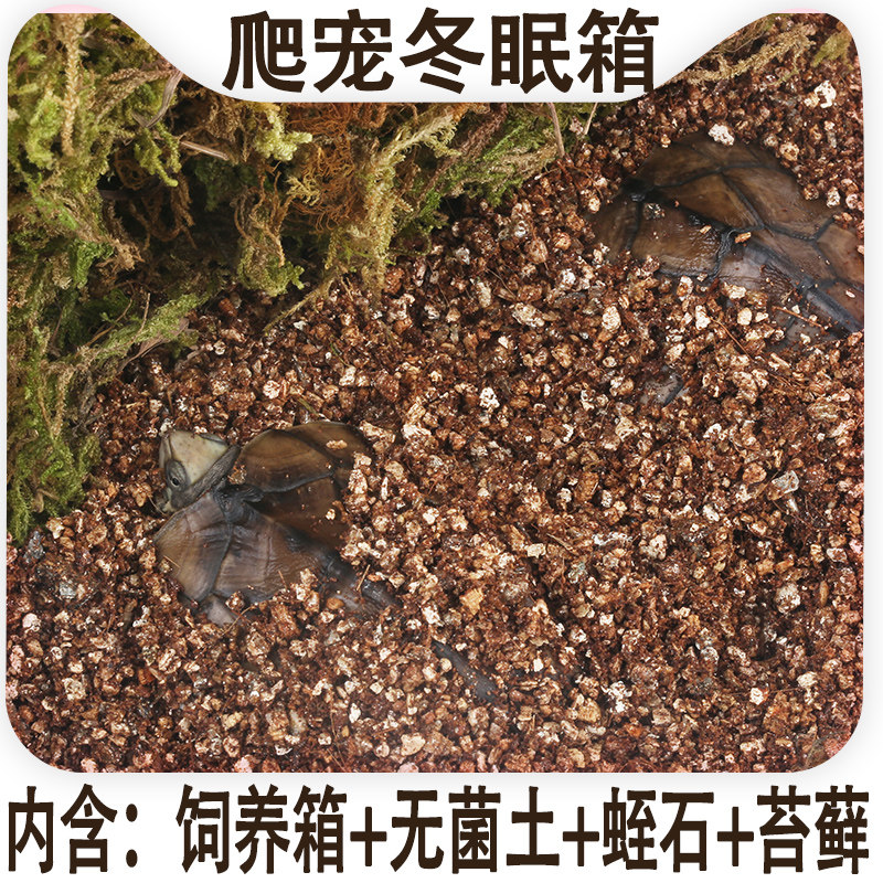 小乌龟冬眠用品巴西过冬装备保温神器苔藓蛭石桌面缸