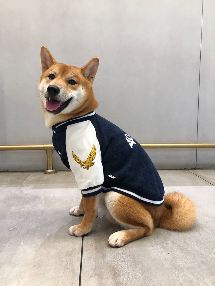 衣服柴犬棒球服秋冬装中型犬加绒卫保暖宠物狗宠物服装