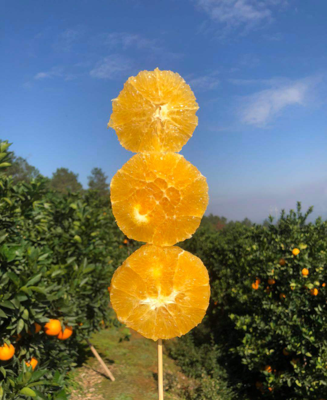 四川大凉山吉橙雷波脐橙新鲜现季水果特级现发橙子一份试吃装包邮