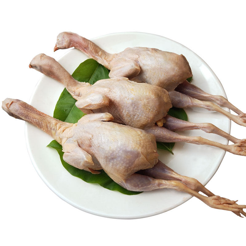 鹧鸪新鲜桃李李旺活体体现飞龙农家养老生鲜其它生肉制品