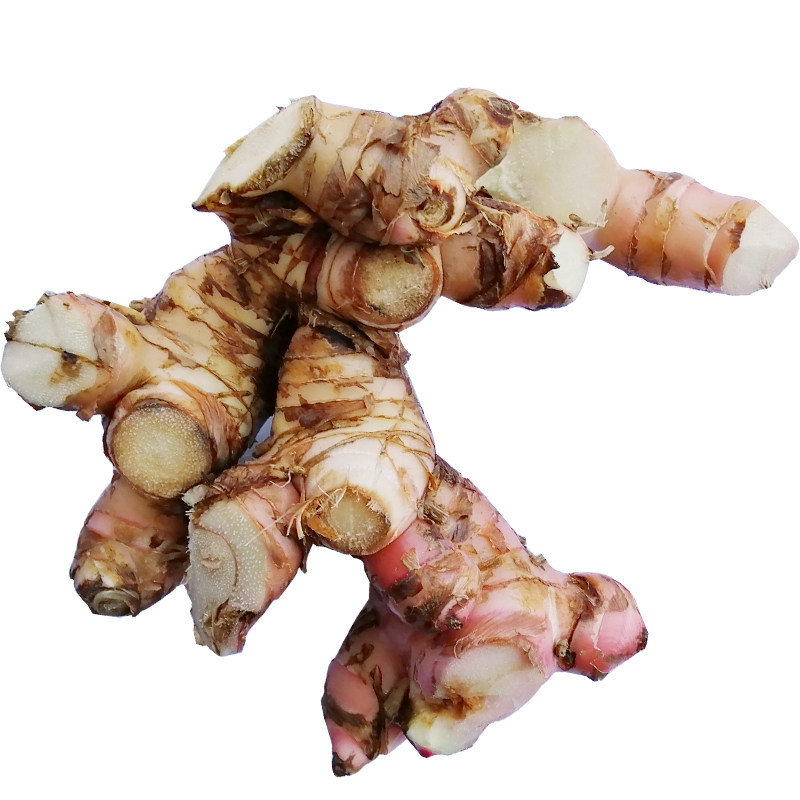 山姜头2斤湛江市特产头包邮卤水生姜新鲜南姜正宗治