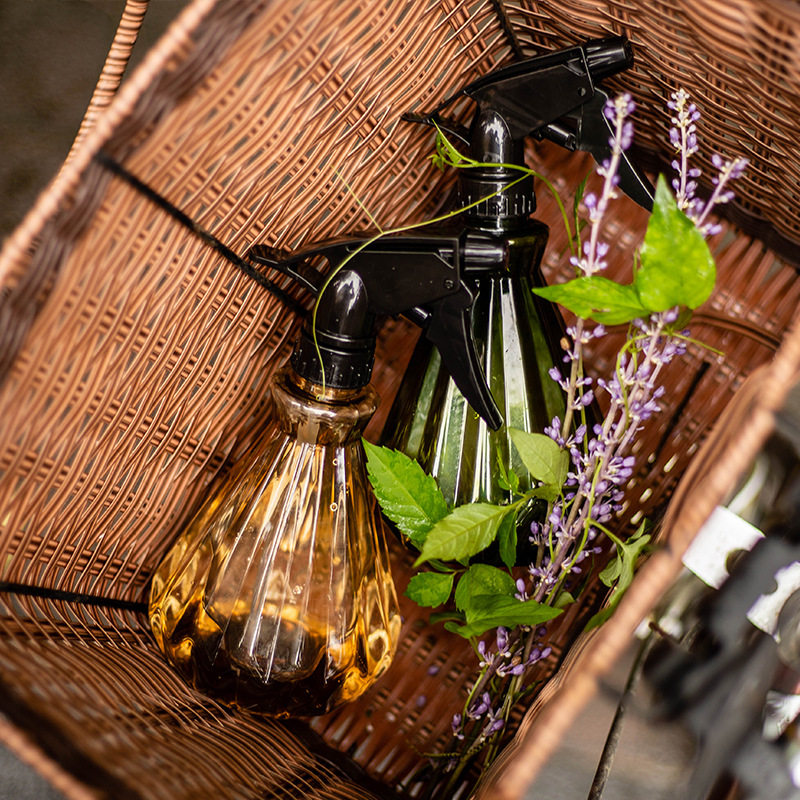 水壶喷水浇花浇水喷花器小喷壶瓶消毒专用园艺喷瓶