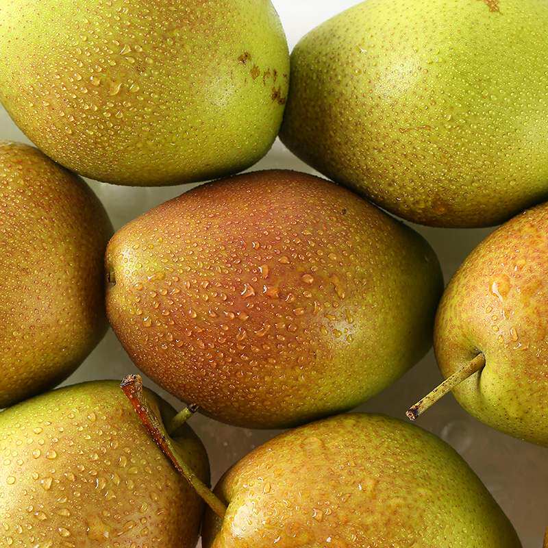 酥梨山西现摘红香9斤梨子新鲜当季水果香甜梨