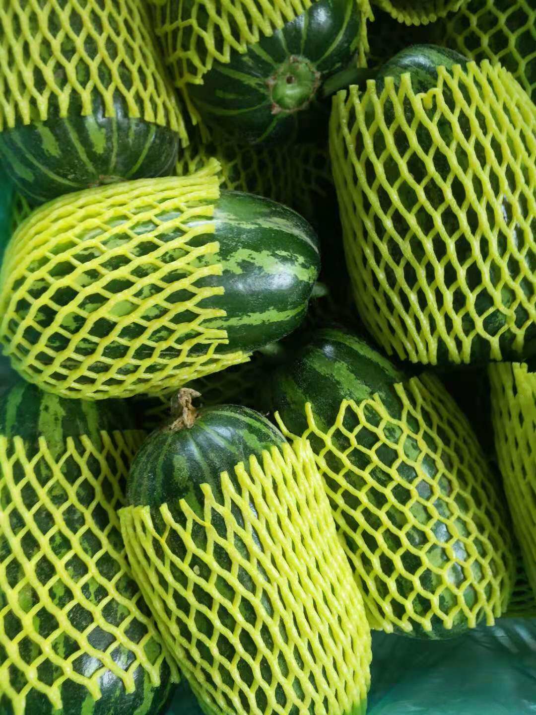 菜瓜皮梢脆嫩口味香菜酥瓜烧瓜黑皮5斤鲜花其它