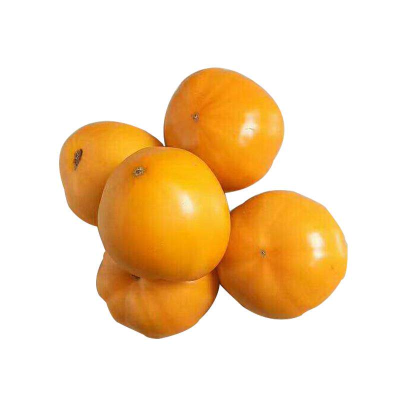 番茄西红柿三斤柿子黄柿子特产蔬菜鲜绿色新鲜整箱其它