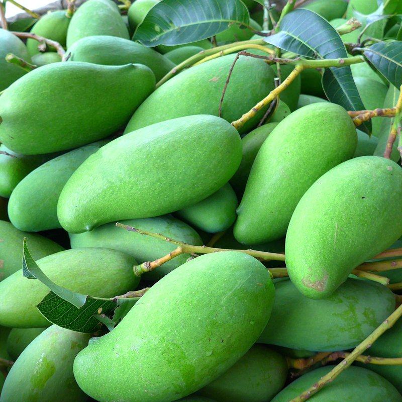 云南永德特产生芒果酸芒果酸脆口当应季新鲜孕妇水果整箱5斤包邮